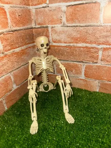 카쿠카쿠 해골 피규어 메탈릭 화이트