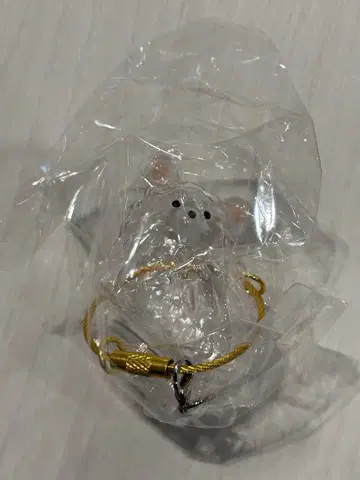 우리 집 털뭉치 한정판 모듬 치와와