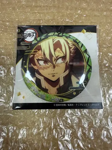 나전 시리즈 시나즈가와 사네미 캔뱃지