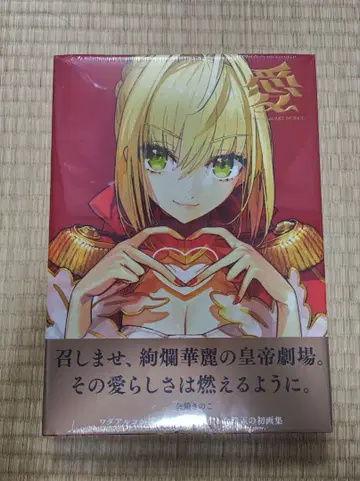 [미개봉 새상품] 와다 아루코 화집 아이 fate art works