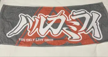 하루카미라이 타월