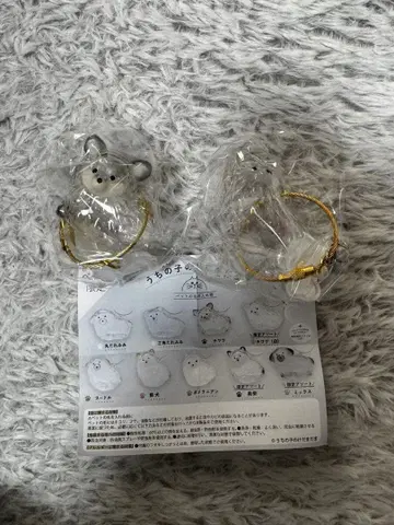 우리 아이 털뭉치 치와와 2종류