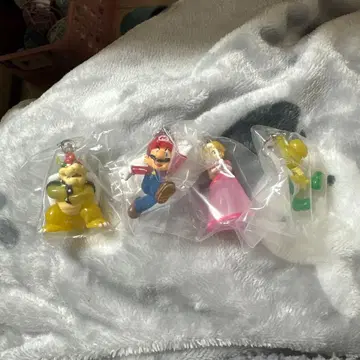 마리오 메지루시 액세서리 2