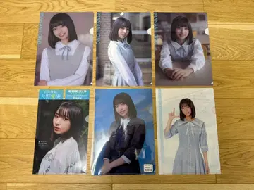 히나타자카46 오노 마나미 클리어 파일 6종 세트