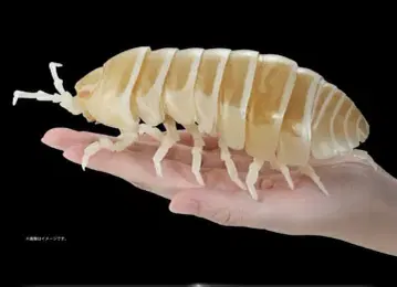 온라인판 생물대도감 어드밴스 공벌레 알비노 공벌레