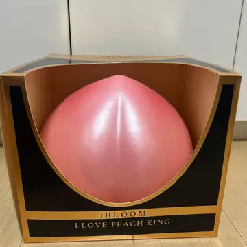 BLOOM 스퀴즈 블루밍 복숭아 아이러브피치 킹 KING