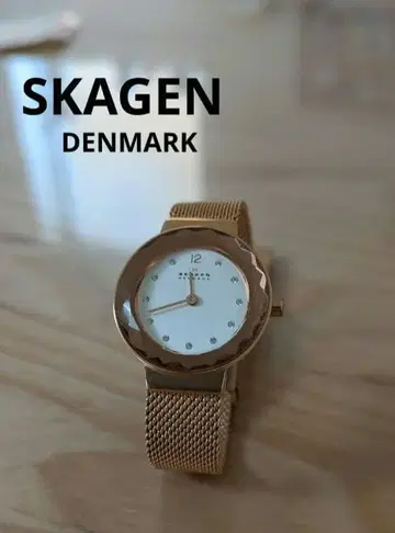 SKAGEN (스카겐) 메쉬 밴딩 손목시계