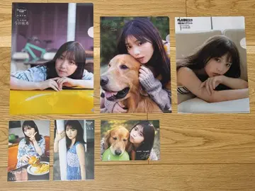 전 노기자카46 요다 유키 클리어 파일 엽서 6장 세트 FLASH