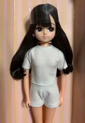 아이콘 모델 리카짱 리카짱 캐슬