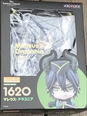 말레우스 말레우스 드라코니아 트위스테 넨도로이드