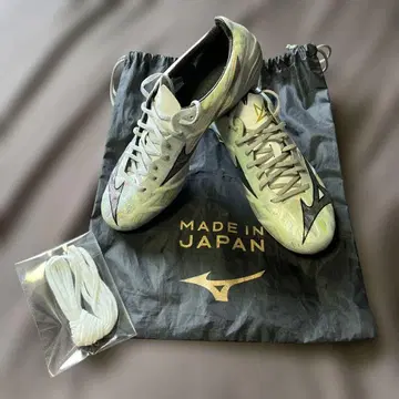 미즈노 알파 II PRO
