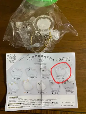 우리 아이 털뭉치 한정판 모듬 치와와 (화이트)