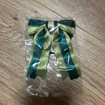 디즈니씨 판타지 스프링스 안나 머리끈