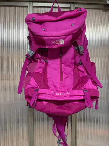 THE NORTH FACE W TELLUS 42 핑크 백팩