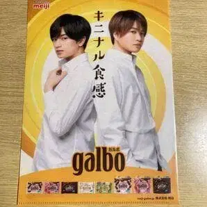 meiji galbo 팜플렛
