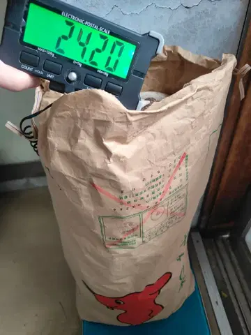 사슴 뿔 핸드메이드 소재 약 25kg 홋카이도 에조사슴