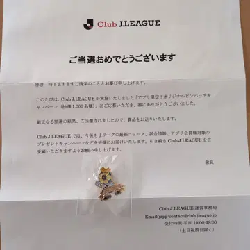 J리그 오리지널 핀 배지