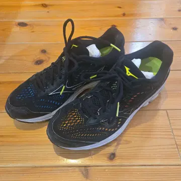 MIZUNO 신발 WAVE RIDER 22 J1GD183709 27cm