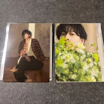 사토 타케루 팬미 트레이딩 카드 2장 세트