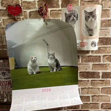 2026년 모치마루 달력 모치마루 카페 2장