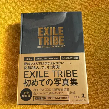 The Visual Dictionary [ 최초 한정판 ]