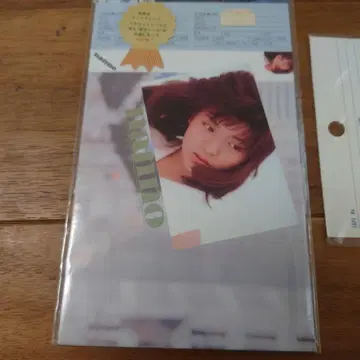 미나미노 요코 인레타 시트