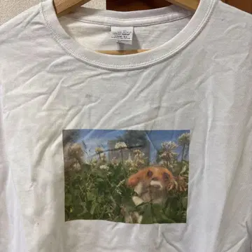 PIGGS 수영장 펠트 한정판 사인 T셔츠 XL