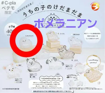 포메라니안 우리 집 털뭉치 강아지 가챠 정품