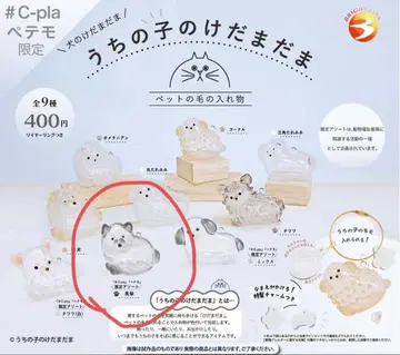 우리 아이 케다마담 한정판 모듬 블랙 시바