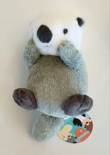 [ 엄선 ] 토바 수족관 랏코 봉제 인형 포차마루 그린 새상품