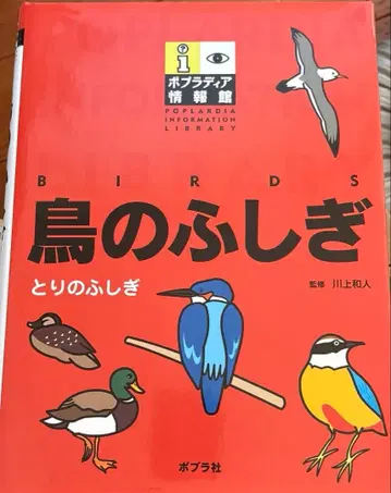 새상품급 새의 불가사의 포플러사