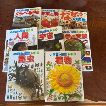 소학관 네오 도감 시리즈 묶음 판매 8권 세트