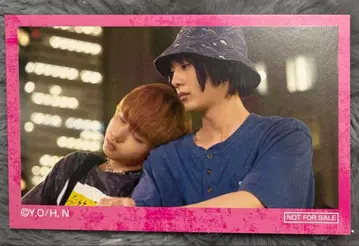 판토라 팝업 특전 카드 2샷