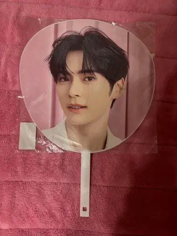 한빈 흔들흔들 부채 팬콘 ZB1