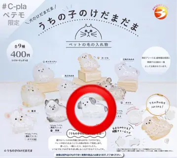 우리 아이 케다마담 한정판 모듬 믹스