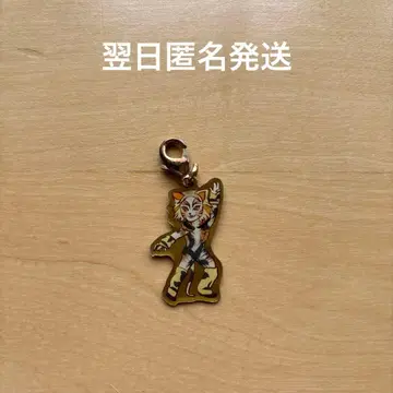 [ 익일 배송 ] 극단 사계절 캣츠 시크릿 참 코리코패트