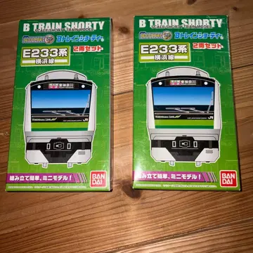 E233계 요코하마선 2상자 B 트레인 쇼티