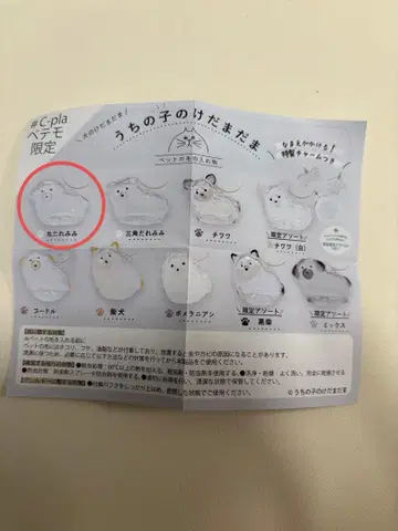 우리 아이 캡슐 토이 강아지 케다마마 동그란 늘어진 귀