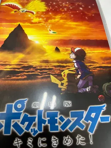 사진 1~3 포켓몬스터 코코 모두의 이야기 너로 정했다! dvd