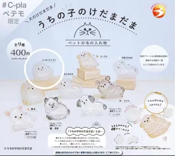 우리 아이 털뭉치 강아지 가챠 포메라니안