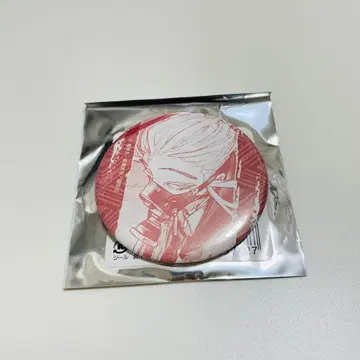 가치액터 타무지 캔뱃지