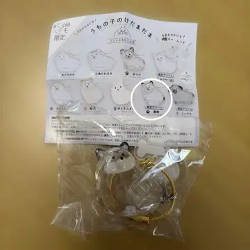 우리 집 아이 보풀 블랙 시바견