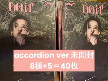 StrayKids 스키즈 DO IT 아코디언 미개봉 8종 세트 x 5