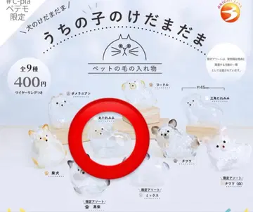 우리 아이 털뭉치 동그란 접힌 귀