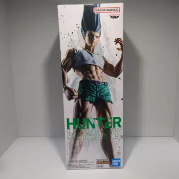 HUNTER x HUNTER 곤 프리크스 피규어