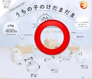 우리 집 강아지 털뭉치 푸들