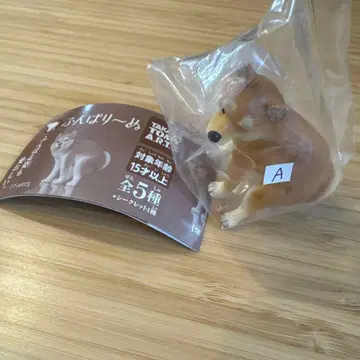 [ 새상품 ] 가챠가챠 펀바리~누 펀바리~누 시바견 시바 시크릿 A