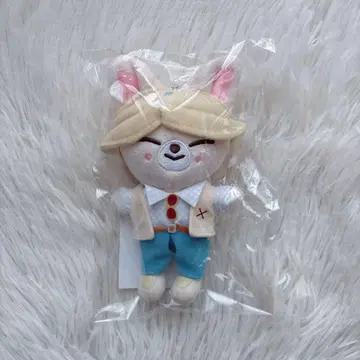 skzoo 폭시니 백참 stray kids 아이엔