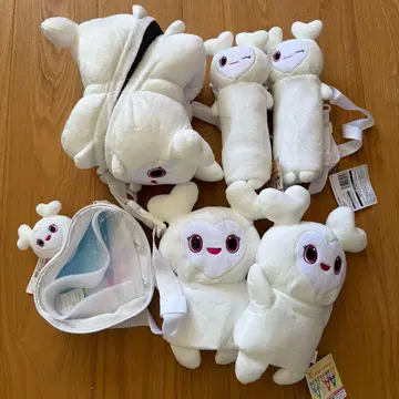 twice 기고 한정판 다현 세트