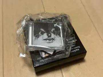 BTS 2025 FESTA 캡슐 앨범 V